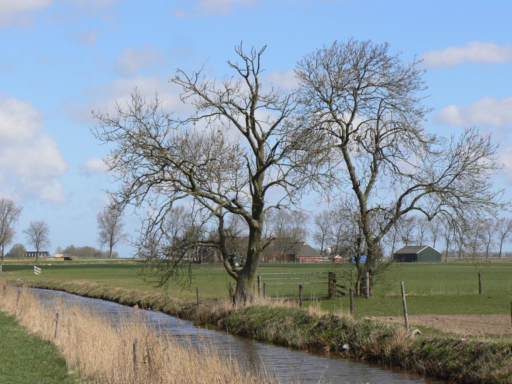 Groningen Buiten B&B Zuidhorn المظهر الخارجي الصورة