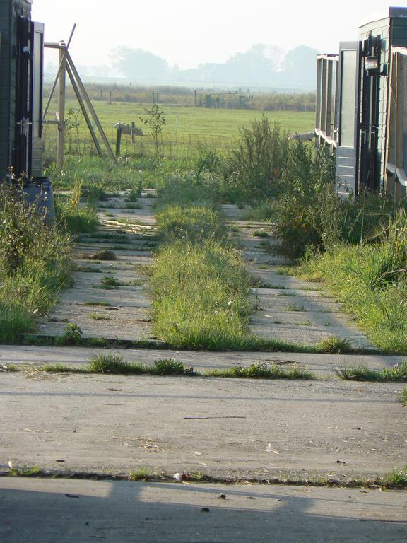 Groningen Buiten B&B Zuidhorn المظهر الخارجي الصورة