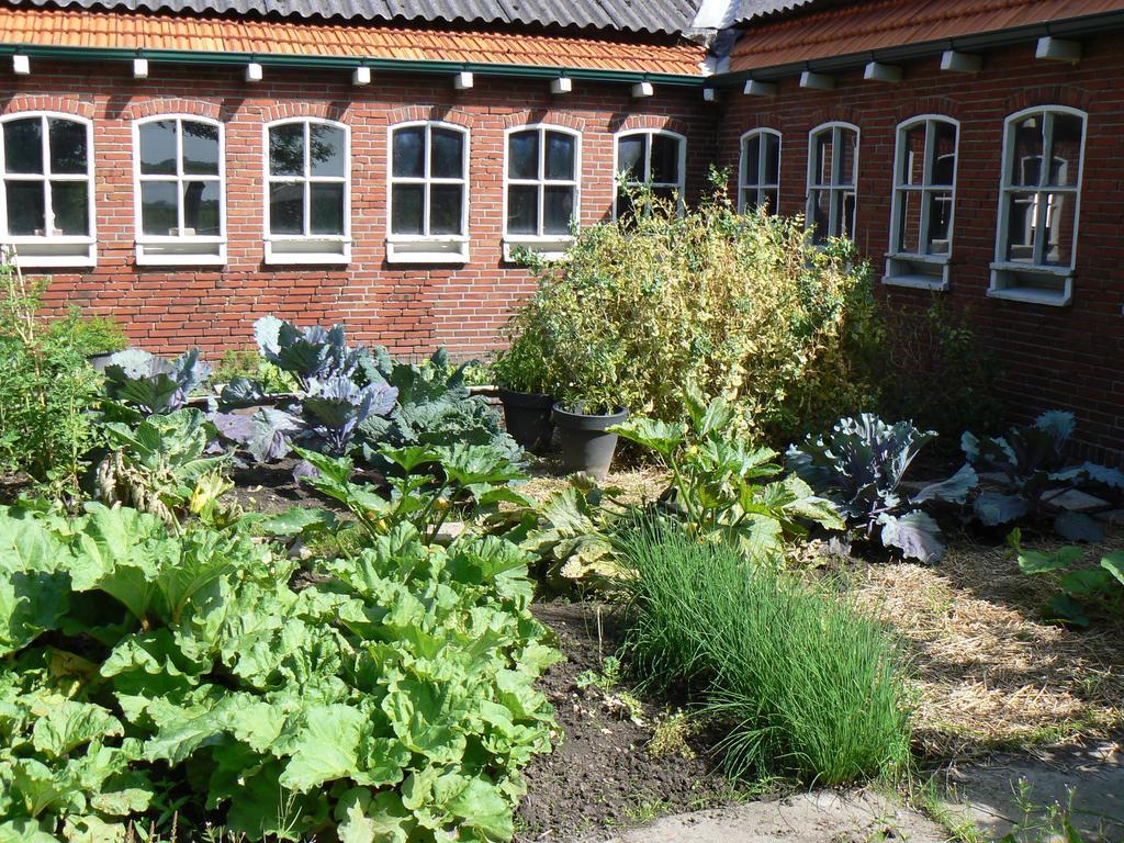 Groningen Buiten B&B Zuidhorn المظهر الخارجي الصورة