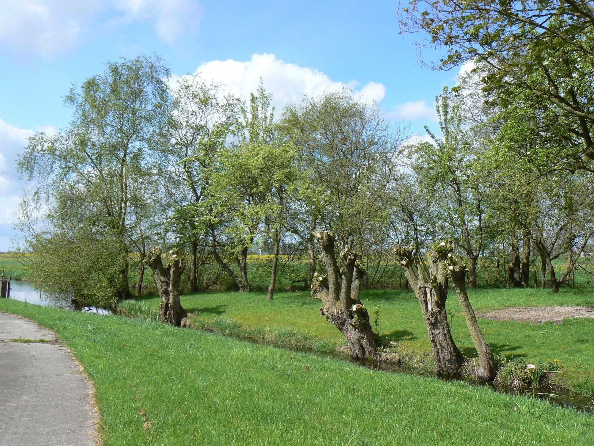 Groningen Buiten B&B Zuidhorn المظهر الخارجي الصورة